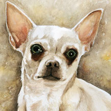Boo - Chihuahua Watercolour painting